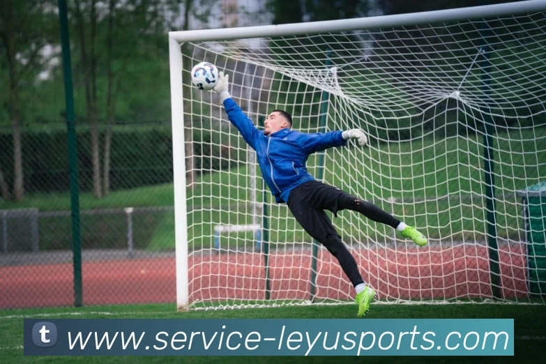 意甲足球队交易市场动态及最新转会趋势